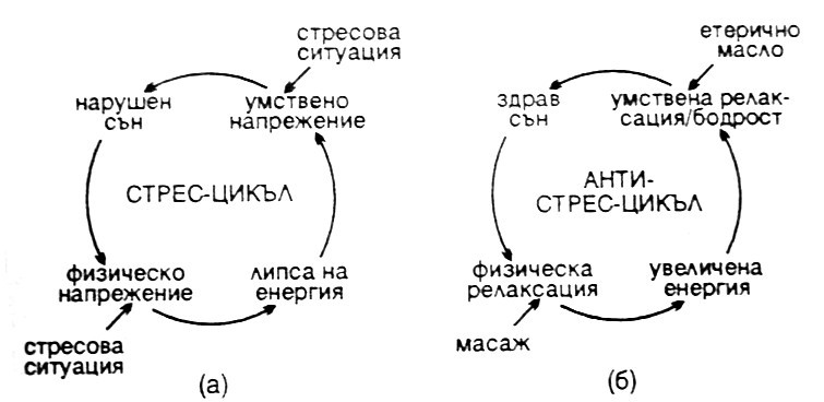 Ароматерапия и Стрес