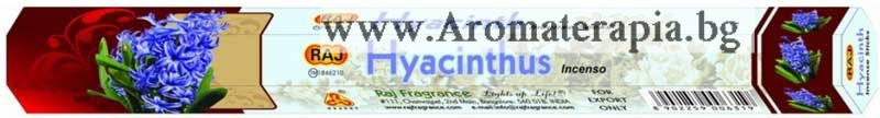 Ароматни Пръчици - Зюмбюл (Hyacint) Raj Fragrance