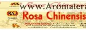 Ароматни Пръчици - Китайска Роза (Rosa chinensis) Raj Fragrance